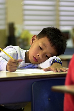 Test Scores