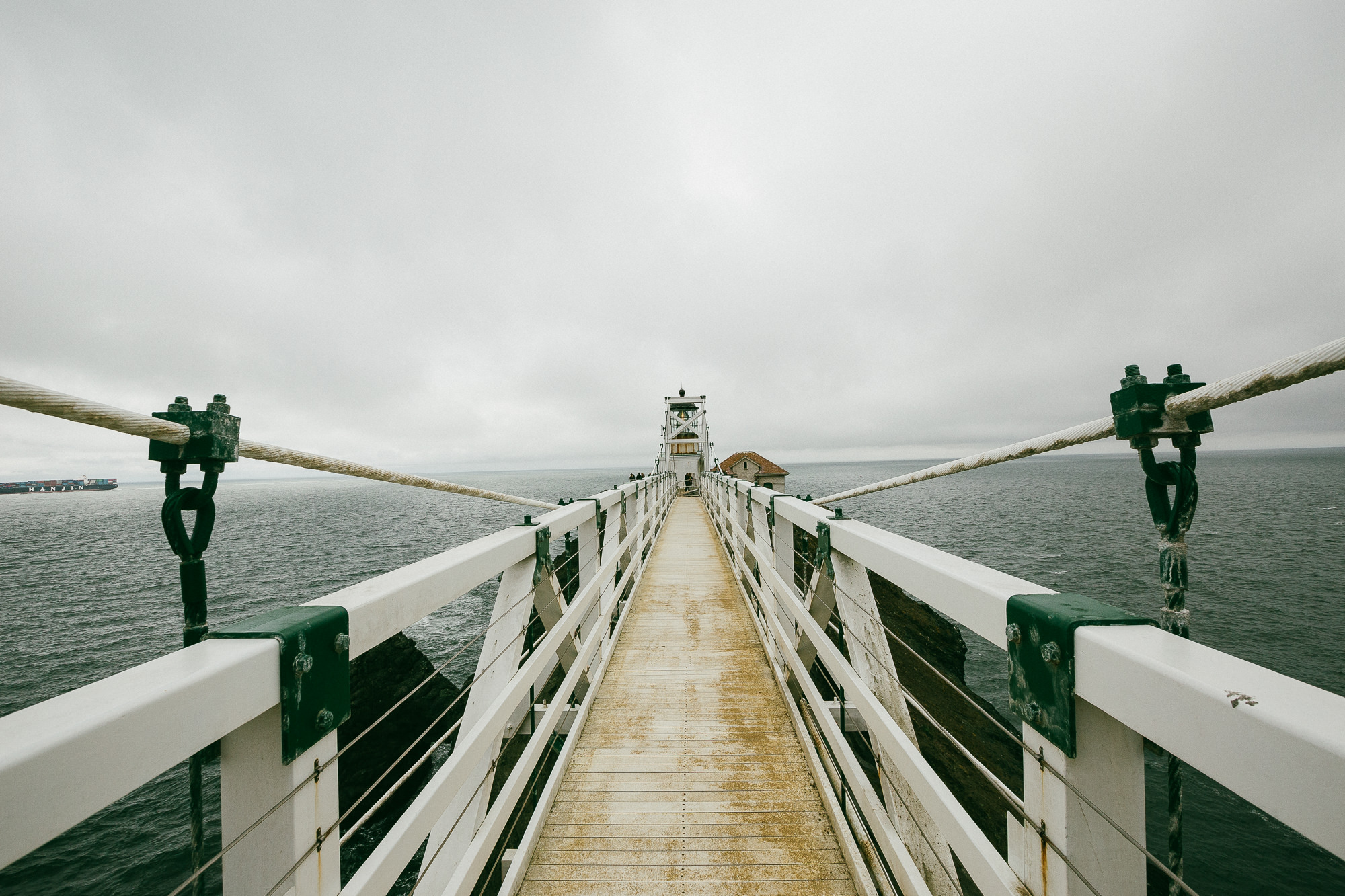 Bridging PBIS and MTSS