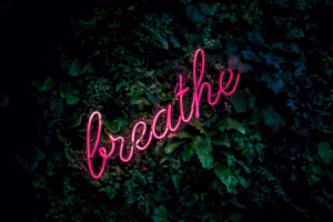 4 Assets to Transform Your Career (and Your Life!)